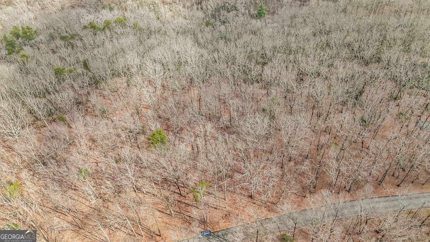 residential lot for sale at 21 Andes Ridge, Jasper, GA 30143 — photo 10