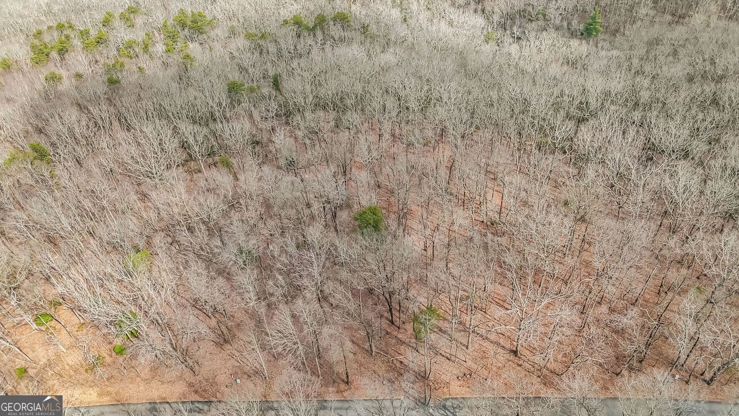 residential lot for sale at 21 Andes Ridge, Jasper, GA 30143 — photo 8