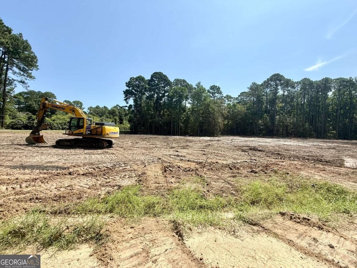 estate lot for sale at 0 Slack Drive/ Deerfield Lane NA, Tifton, GA 31793 — photo 2