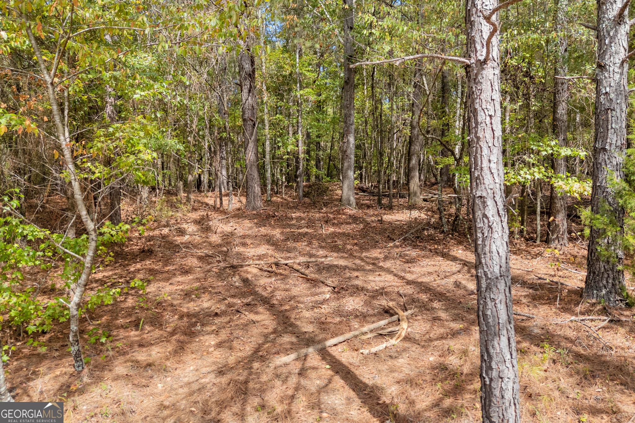 4 bedroom, 3 bathroom, 2,649 sq ft single family residence for sale at 0 Kincaid Cemetery Road, Colbert, GA 30628 — photo 5