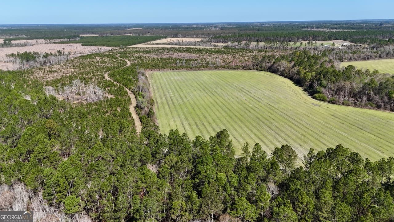 agriculture for sale at TRACT 6 Ingram Road, Odum, GA 31555 — photo 2