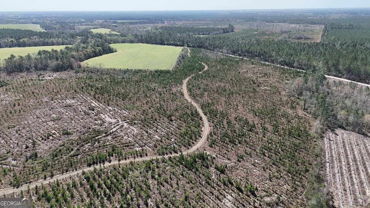 agriculture for sale at TRACT 6 Ingram Road, Odum, GA 31555 — photo 3