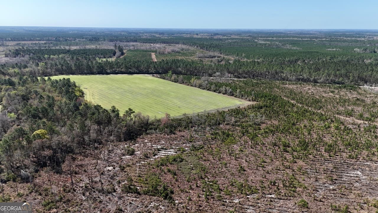 agriculture for sale at TRACT 6 Ingram Road, Odum, GA 31555 — photo 5