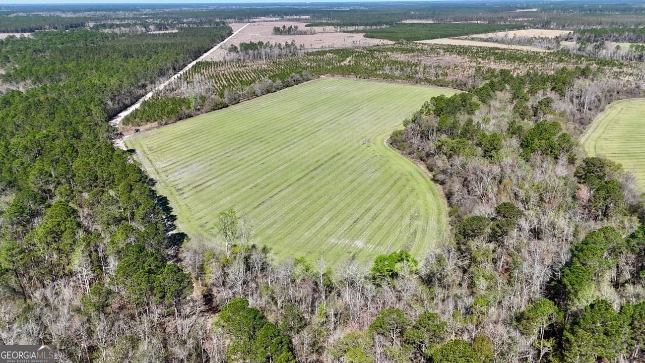 agriculture for sale at TRACT 6 Ingram Road, Odum, GA 31555 — photo 4
