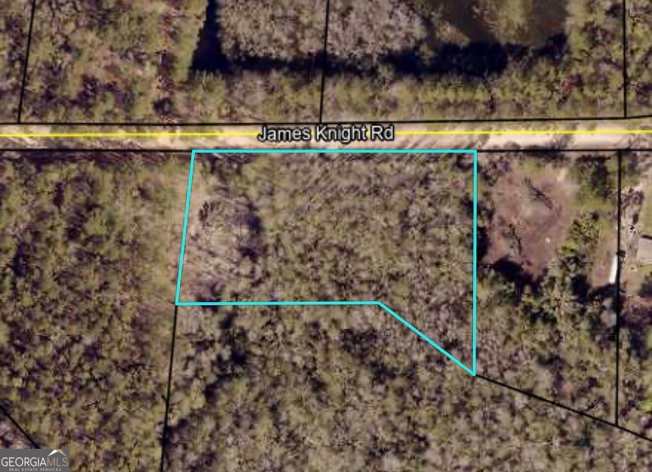 residential lot for sale at 485 James Knight Road, Jesup, GA 31545 — photo 2