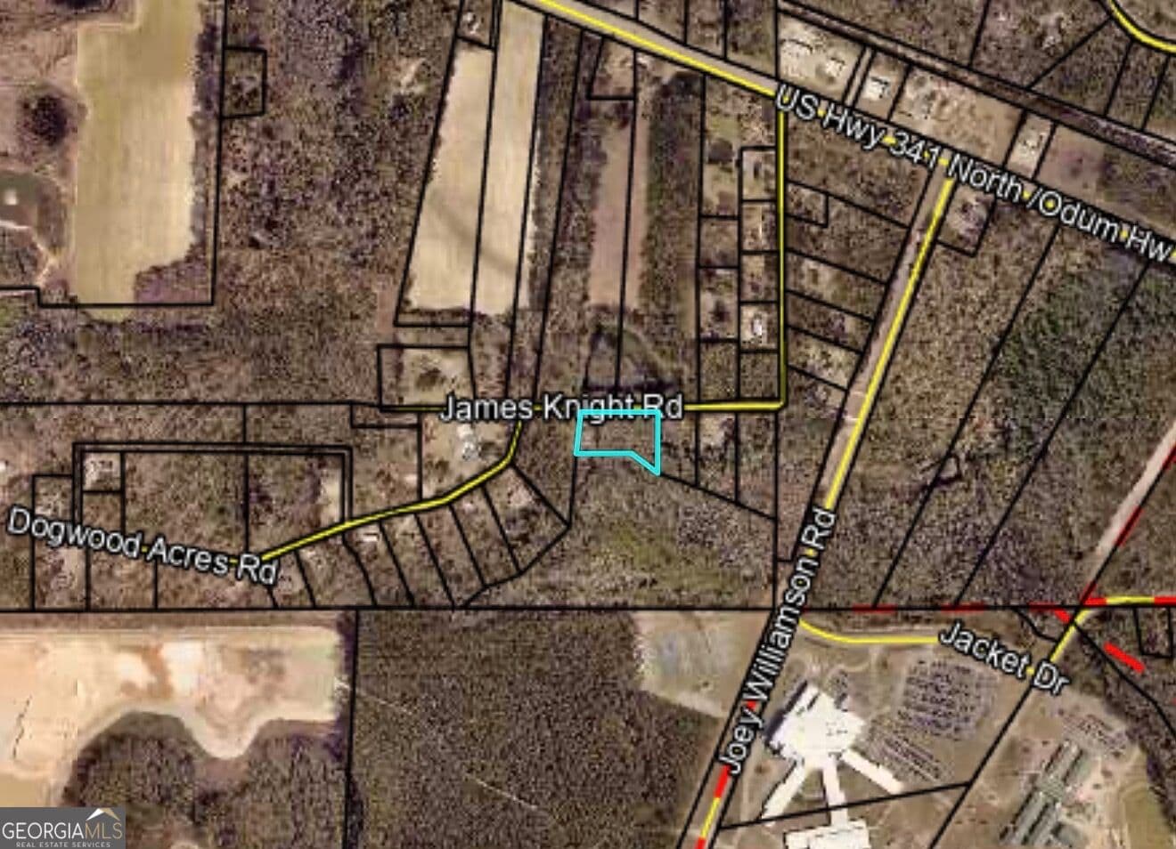 residential lot for sale at 485 James Knight Road, Jesup, GA 31545 — photo 3