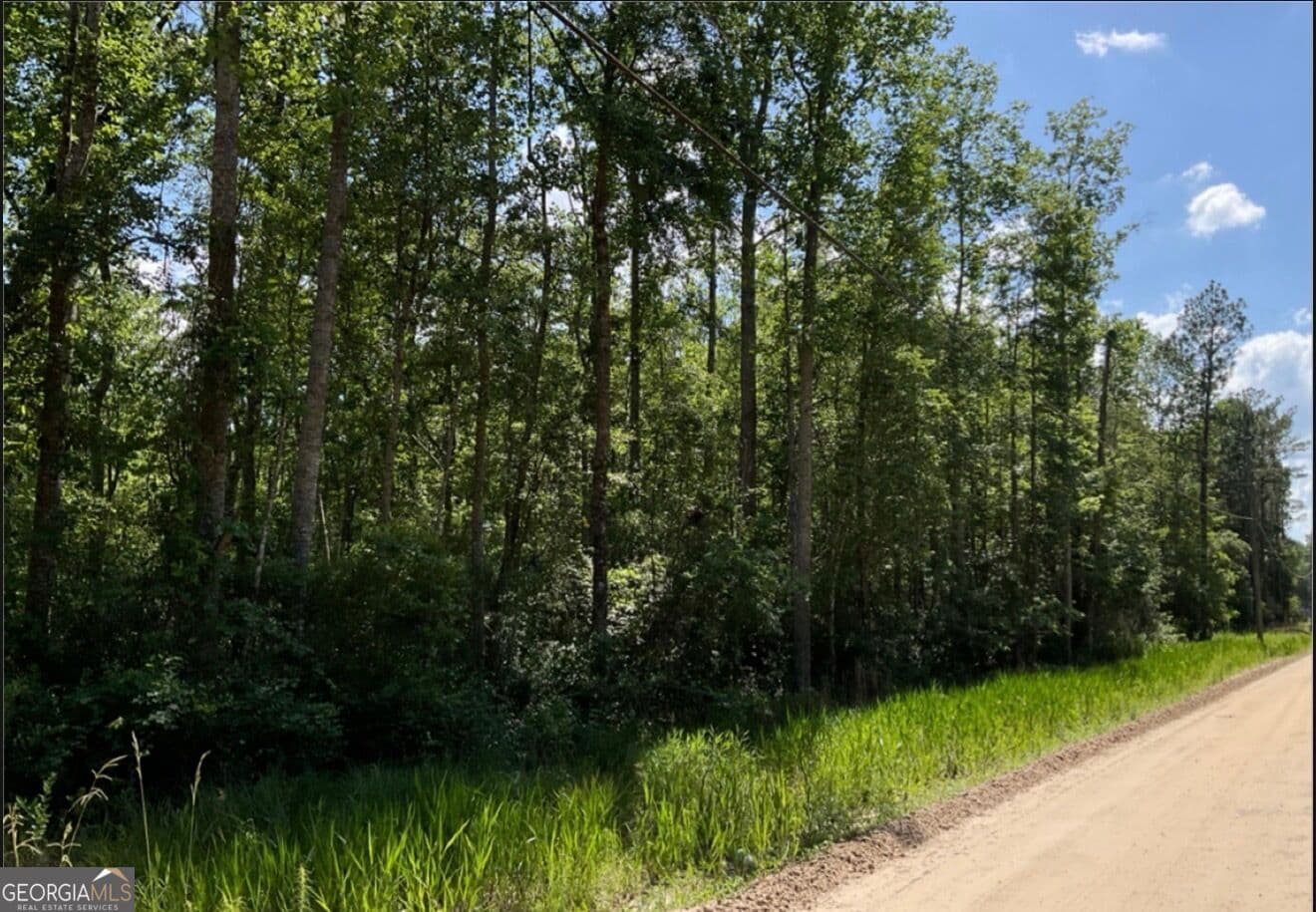 residential lot for sale at 485 James Knight Road, Jesup, GA 31545