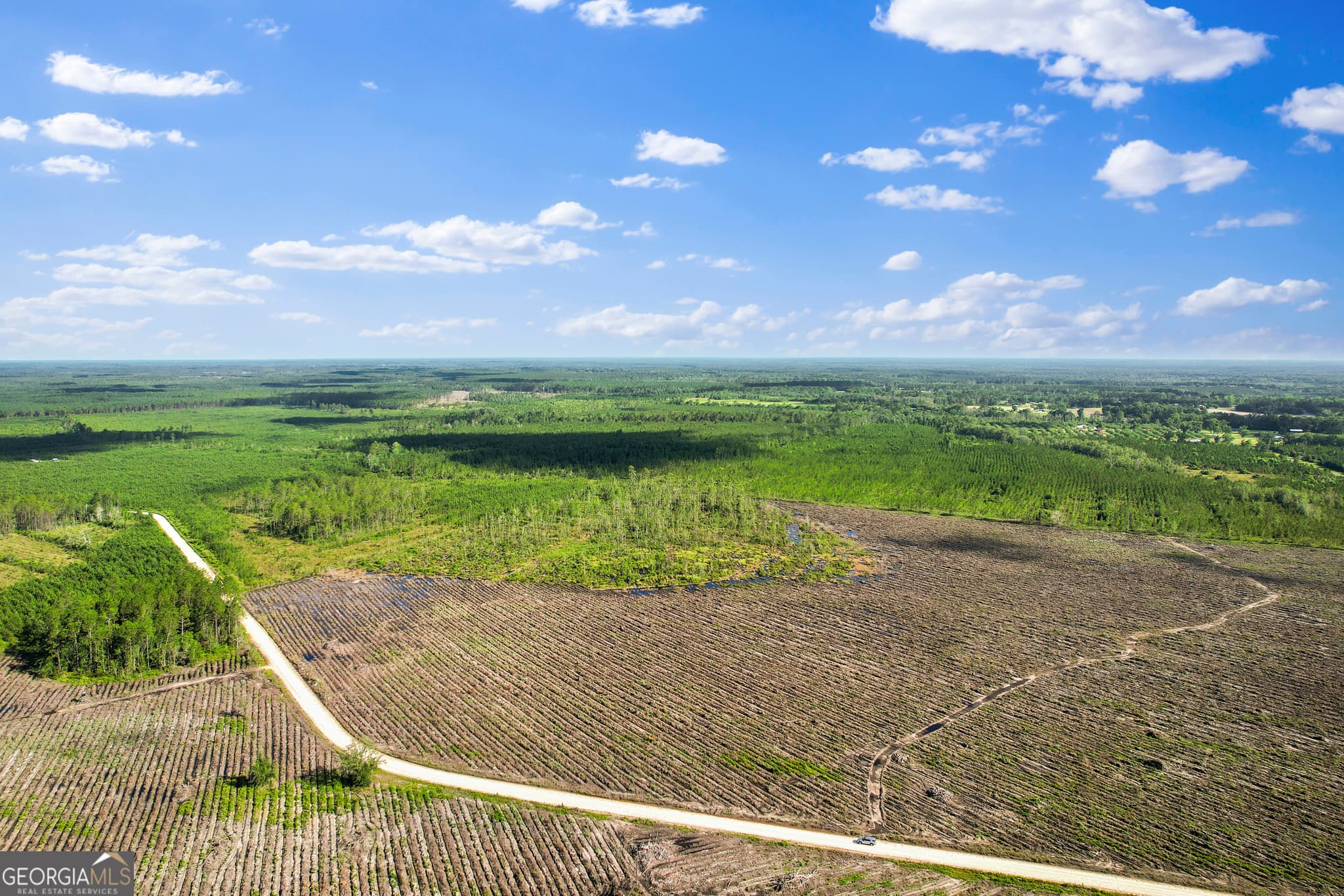 agriculture sold at TRACT 1 Morris Break Road, Odum, GA 31555