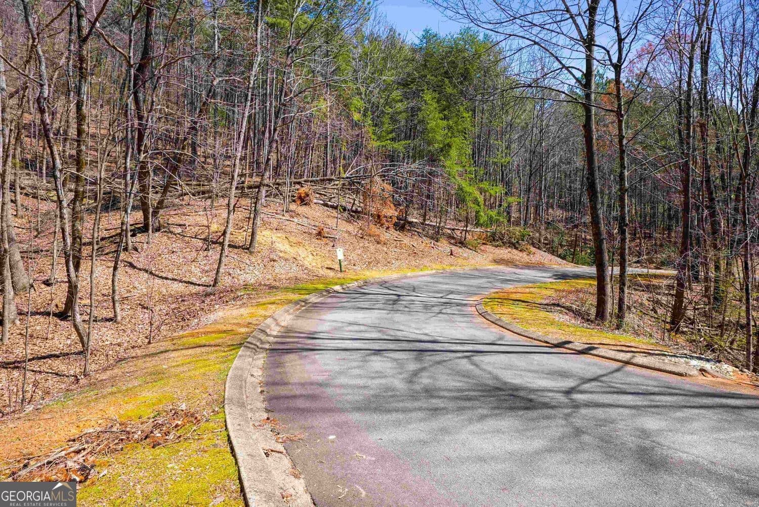 residential lot for sale at 456 Yates Circle, Clarkesville, GA 30523 — photo 5