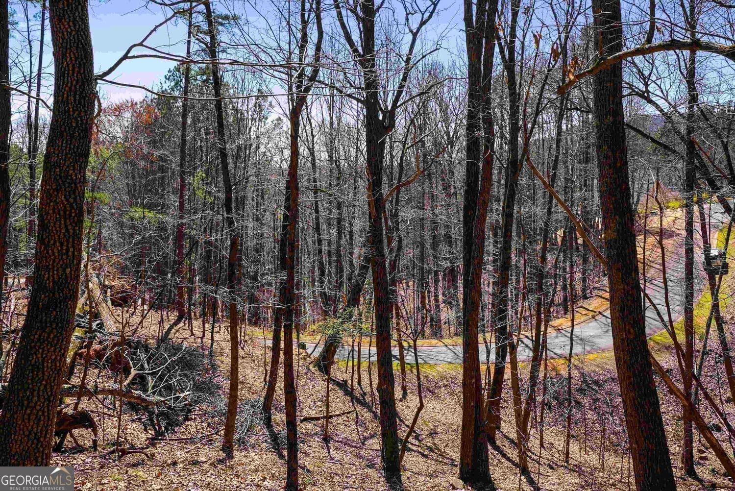 residential lot for sale at 456 Yates Circle, Clarkesville, GA 30523 — photo 8