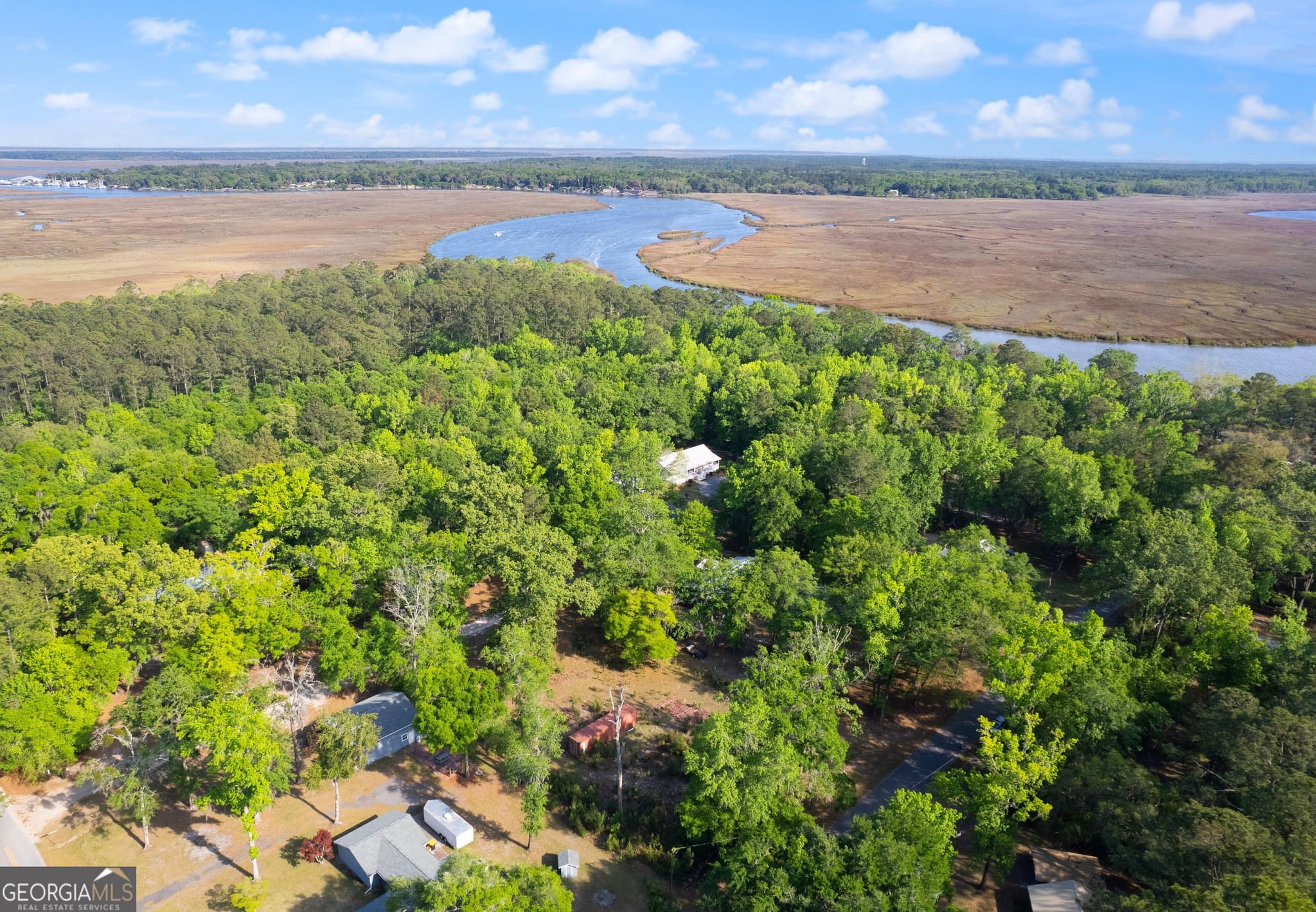 residential lot for sale at 1054 Peaceful Valley Drive, Townsend, GA 31331 — photo 2