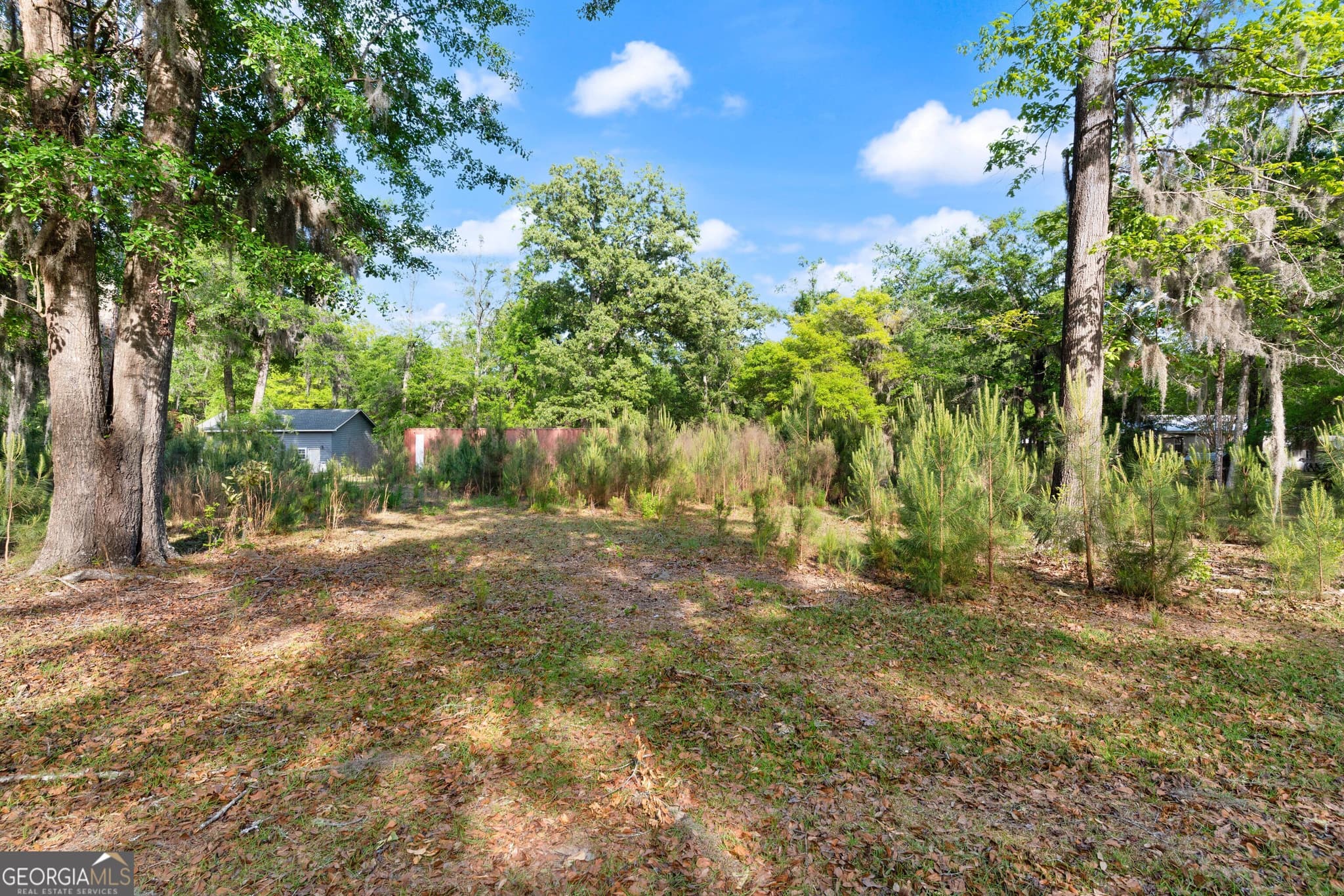 residential lot for sale at 1054 Peaceful Valley Drive, Townsend, GA 31331 — photo 9