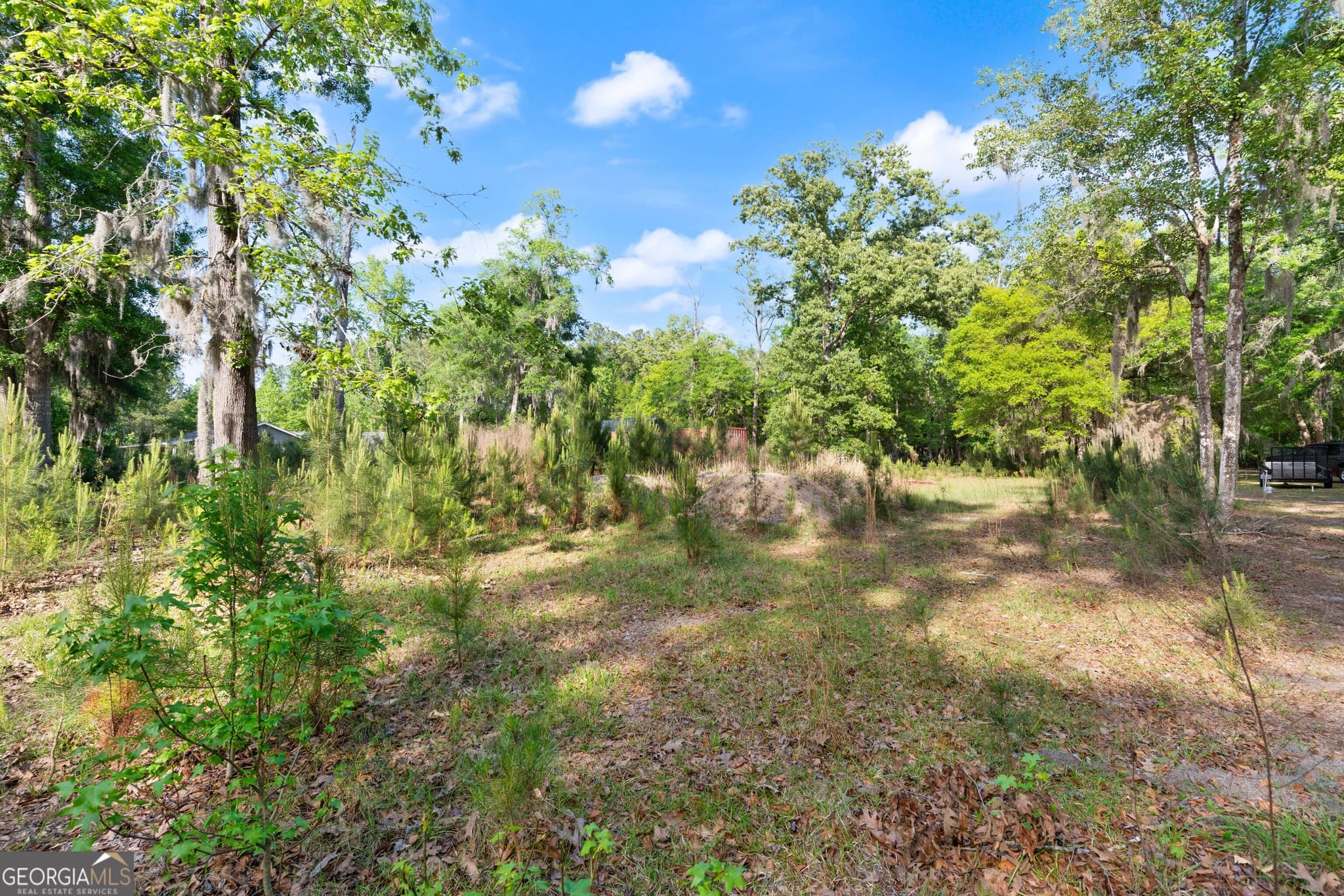 residential lot for sale at 1054 Peaceful Valley Drive, Townsend, GA 31331 — photo 4