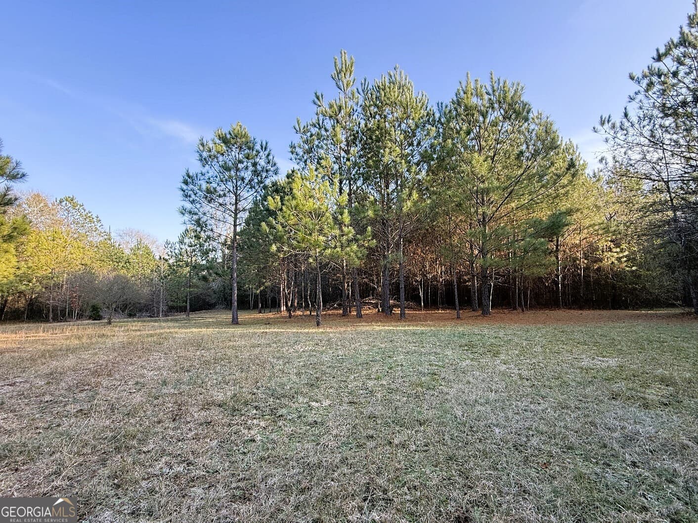 agriculture for sale at 0 Stinchcomb Road, Elberton, GA 30635 — photo 2