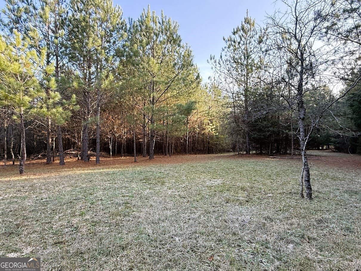 agriculture for sale at 0 Stinchcomb Road, Elberton, GA 30635 — photo 6