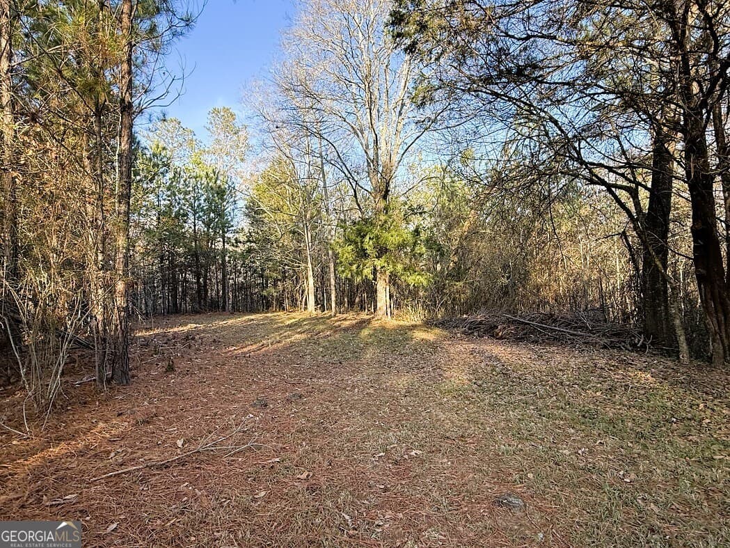 agriculture for sale at 0 Stinchcomb Road, Elberton, GA 30635 — photo 7