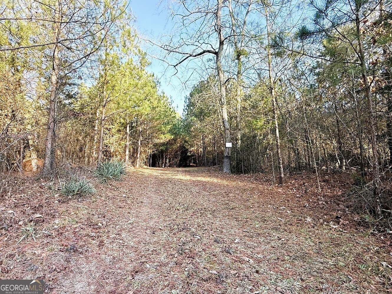 agriculture for sale at 0 Stinchcomb Road, Elberton, GA 30635 — photo 3