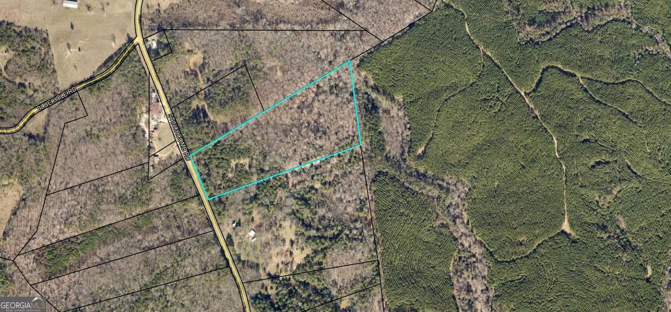 agriculture for sale at 0 Stinchcomb Road, Elberton, GA 30635 — photo 5
