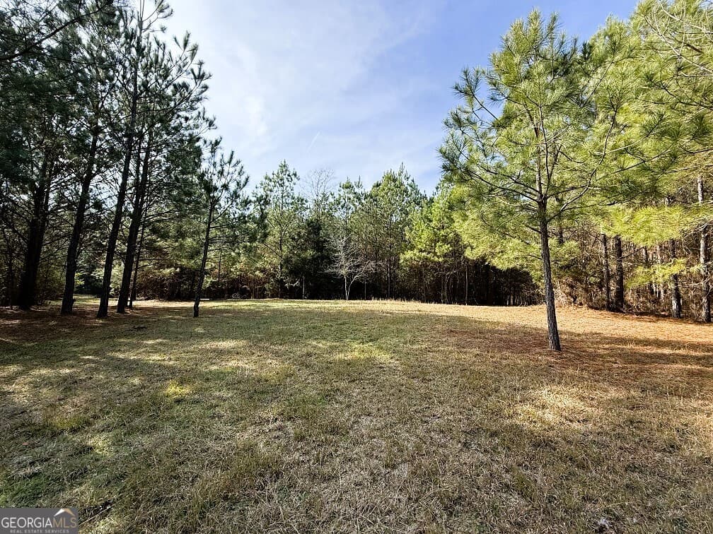 agriculture for sale at 0 Stinchcomb Road, Elberton, GA 30635 — photo 9