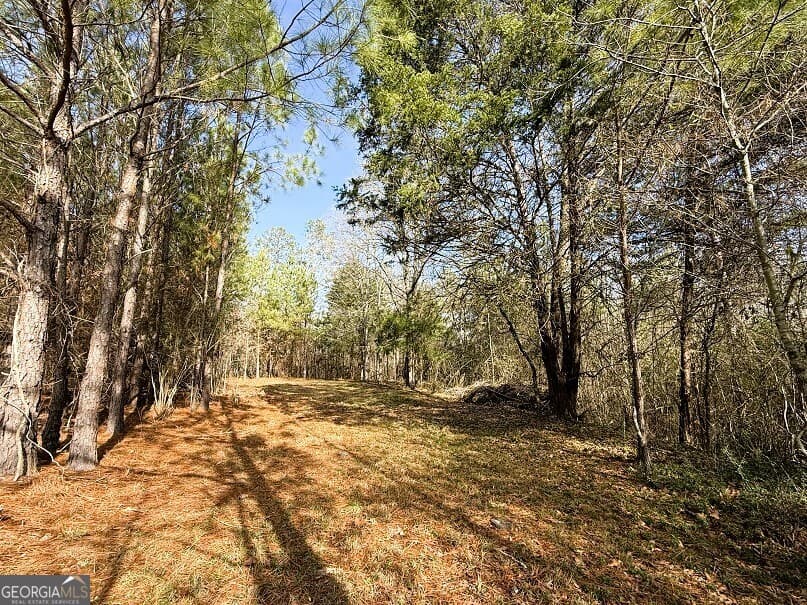 agriculture for sale at 0 Stinchcomb Road, Elberton, GA 30635 — photo 10