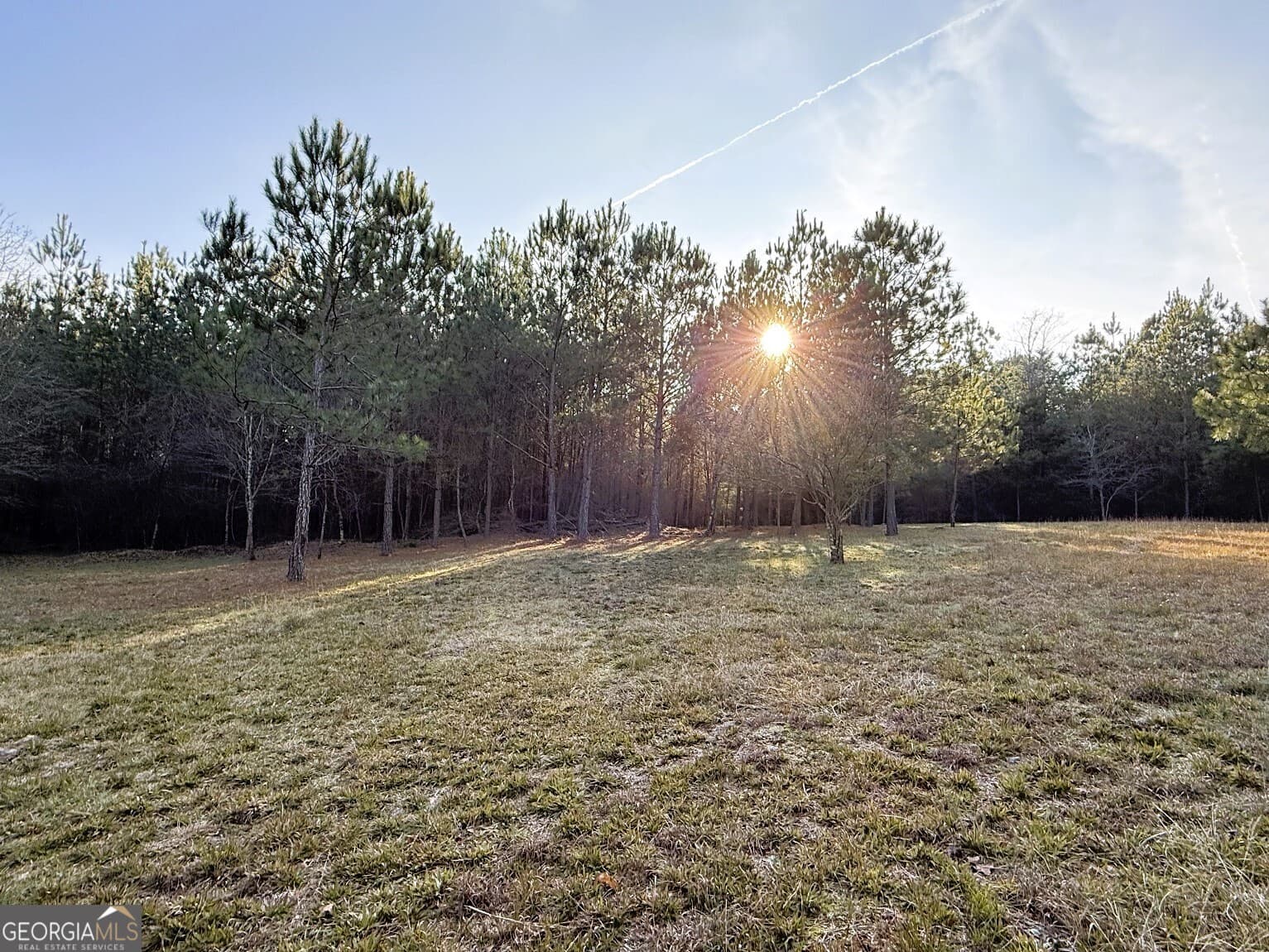 agriculture for sale at 0 Stinchcomb Road, Elberton, GA 30635 — photo 4