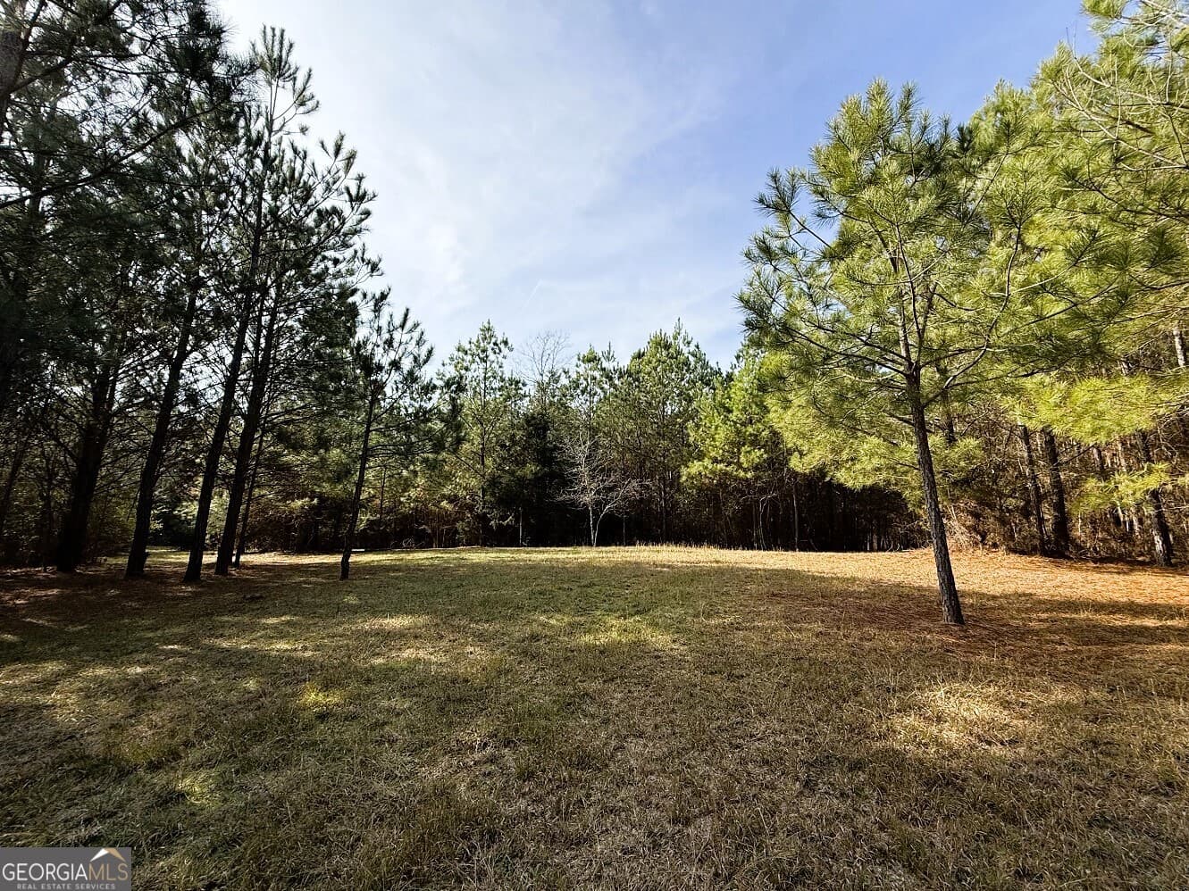 agriculture for sale at 0 Stinchcomb Road, Elberton, GA 30635 — photo 8