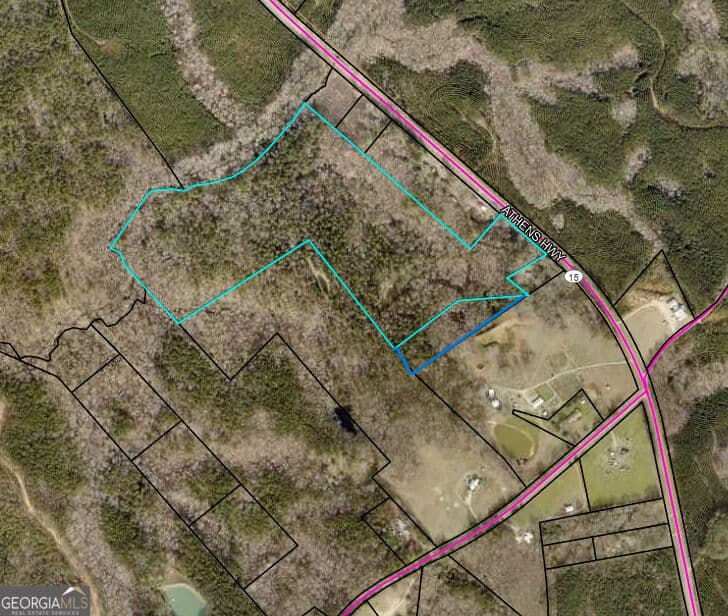 unimproved land for sale at 2260 Athens Highway, Greensboro, GA 30642 — photo 2