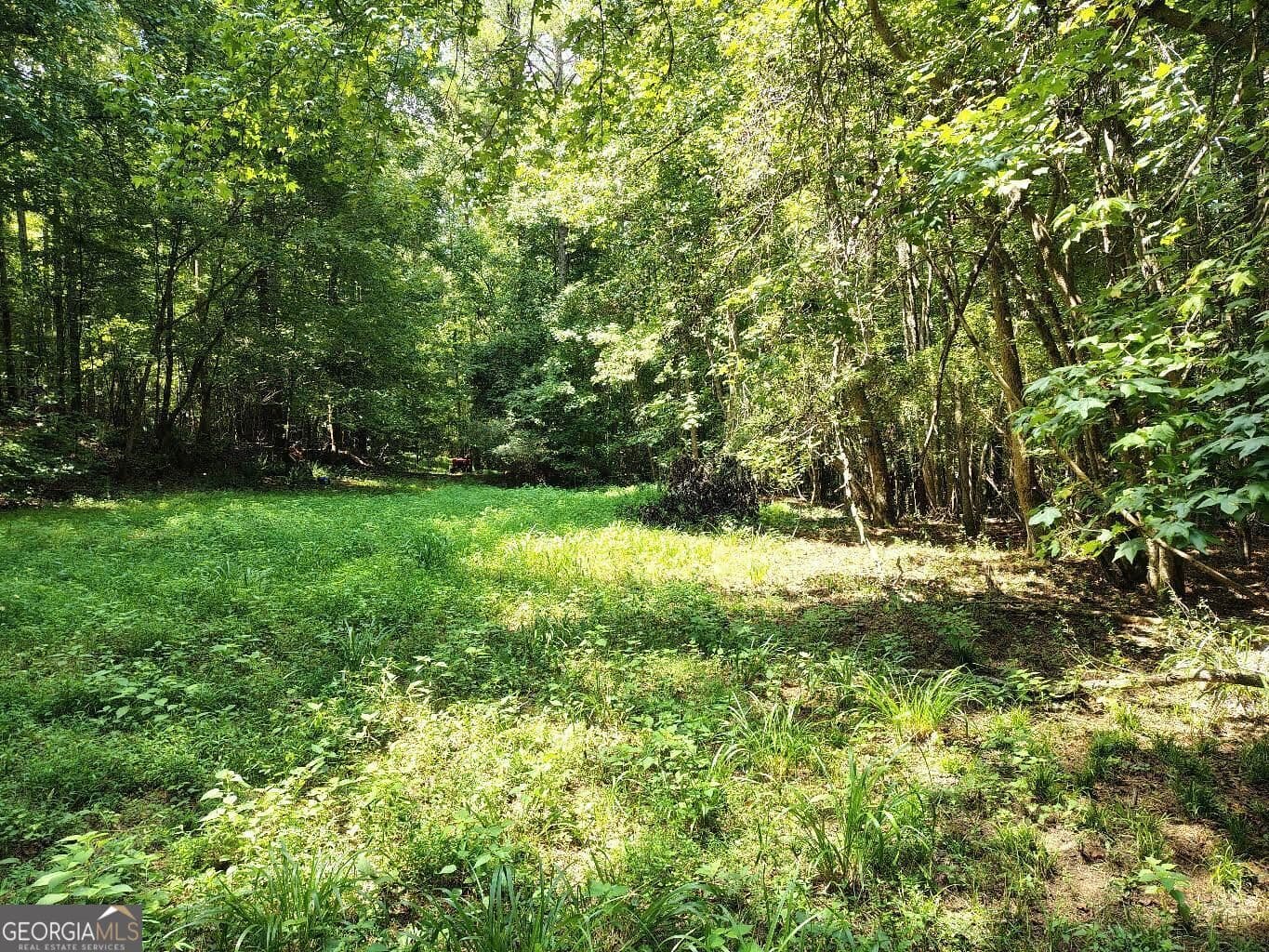 unimproved land for sale at 2260 Athens Highway, Greensboro, GA 30642 — photo 6