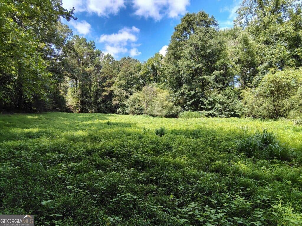 unimproved land for sale at 2260 Athens Highway, Greensboro, GA 30642 — photo 7