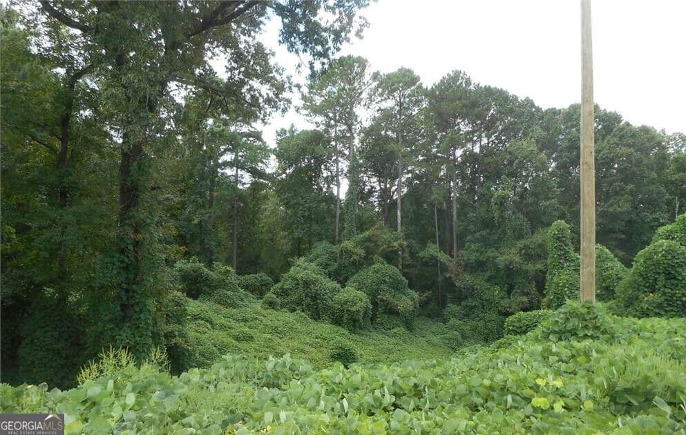 unimproved land for sale at 2260 Athens Highway, Greensboro, GA 30642 — photo 1 of 20