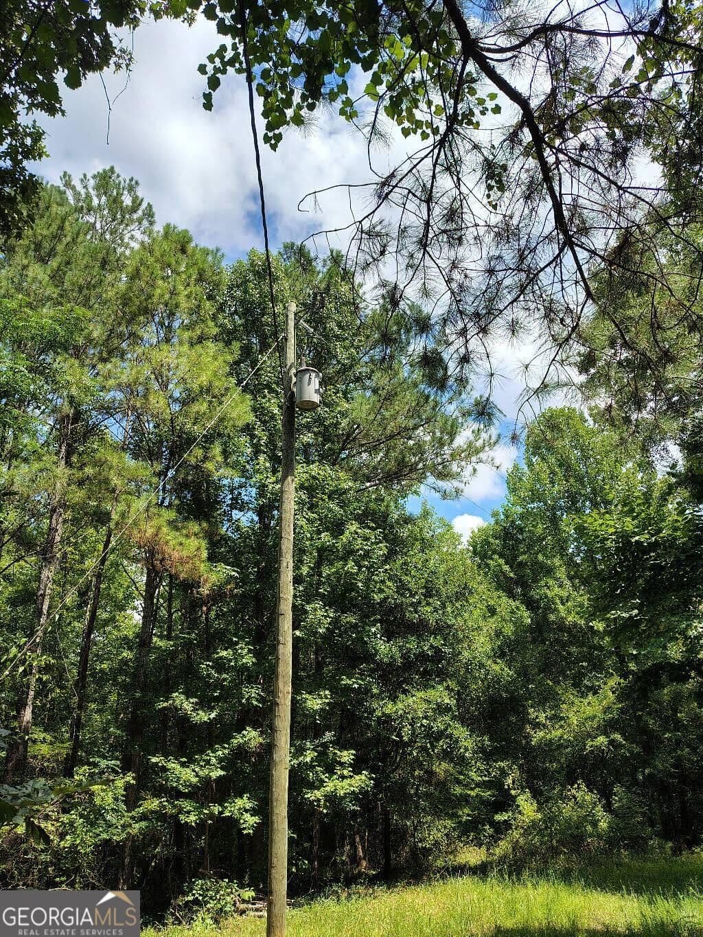 unimproved land for sale at 2260 Athens Highway, Greensboro, GA 30642 — photo 5