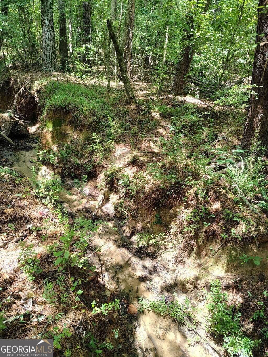 unimproved land for sale at 2260 Athens Highway, Greensboro, GA 30642 — photo 9