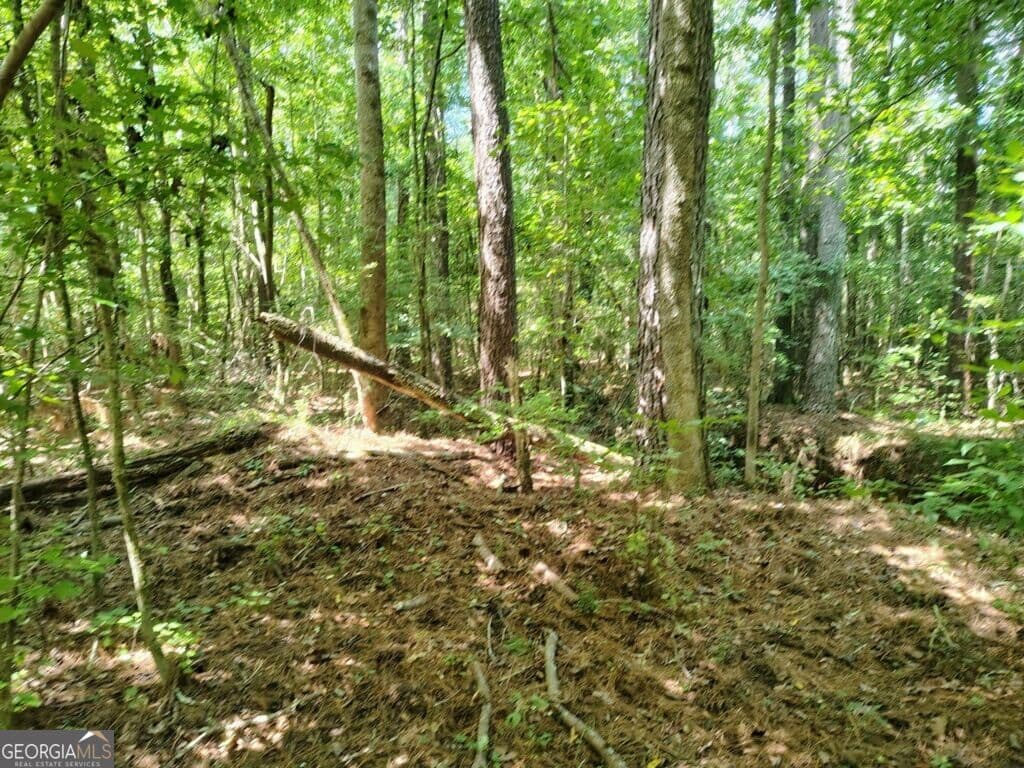unimproved land for sale at 2260 Athens Highway, Greensboro, GA 30642 — photo 10