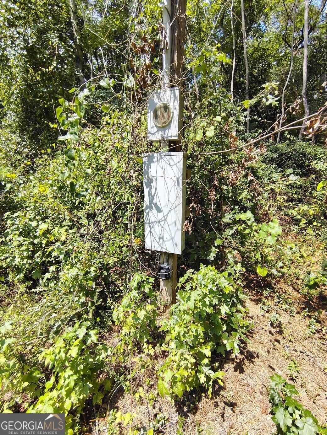 unimproved land for sale at 2260 Athens Highway, Greensboro, GA 30642 — photo 4