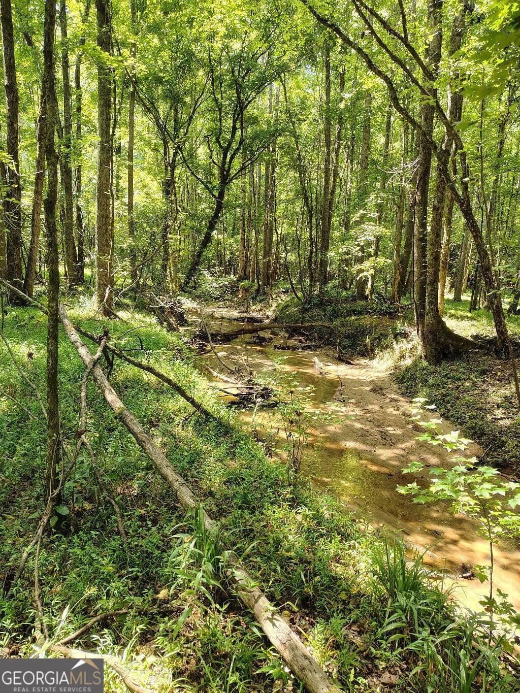 unimproved land for sale at 2260 Athens Highway, Greensboro, GA 30642 — photo 8