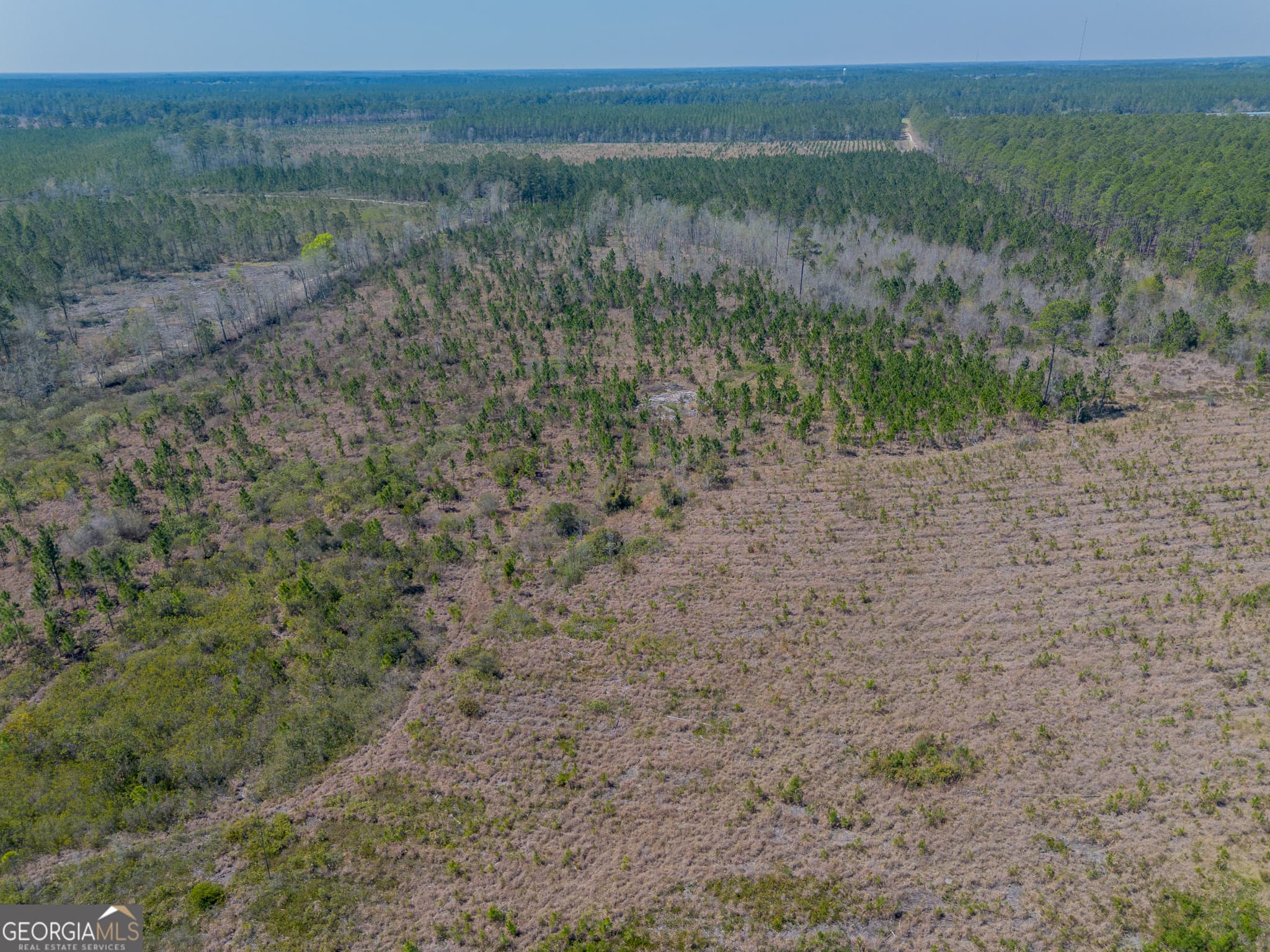 unimproved land for sale at 0 MEMORIAL Drive, Waycross, GA 31503 — photo 6