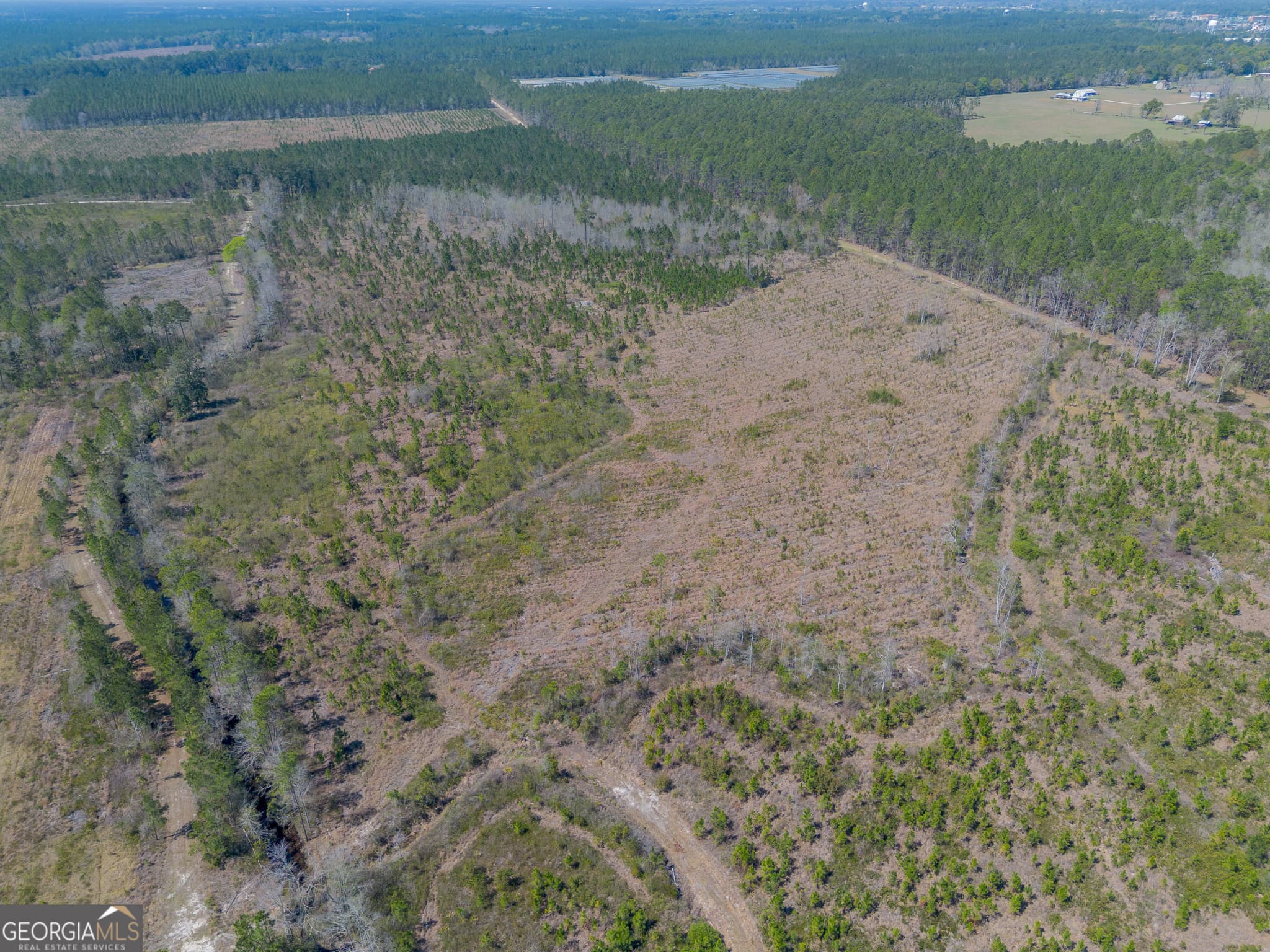 unimproved land for sale at 0 MEMORIAL Drive, Waycross, GA 31503 — photo 7