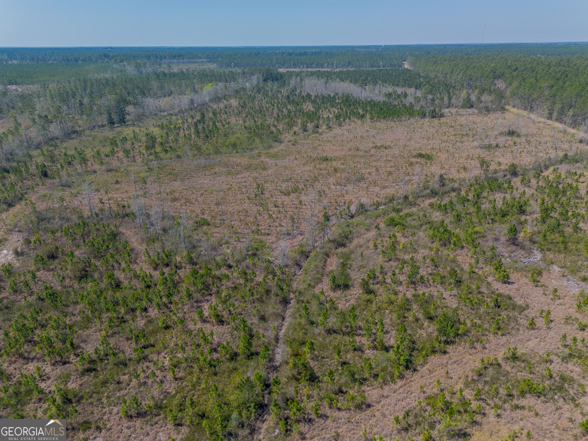 unimproved land for sale at 0 MEMORIAL Drive, Waycross, GA 31503 — photo 5