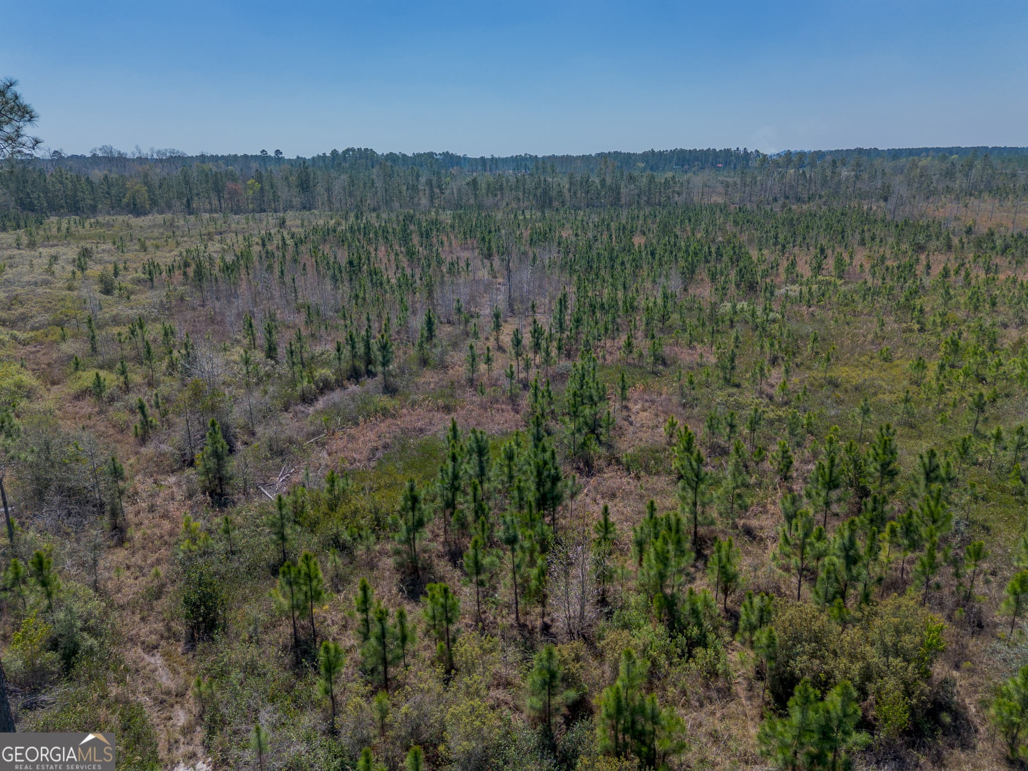 unimproved land for sale at 0 MEMORIAL Drive, Waycross, GA 31503 — photo 4