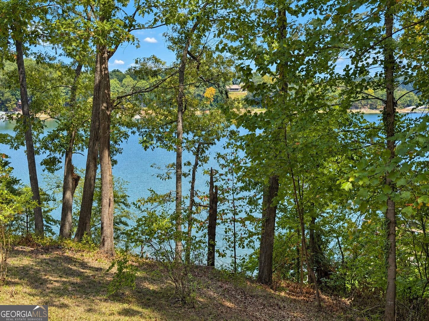 4 bedroom, 3.5 bathroom, 3,500 sq ft single family residence for sale at 669 Shorewood Circle, Toccoa, GA 30577 — photo 8