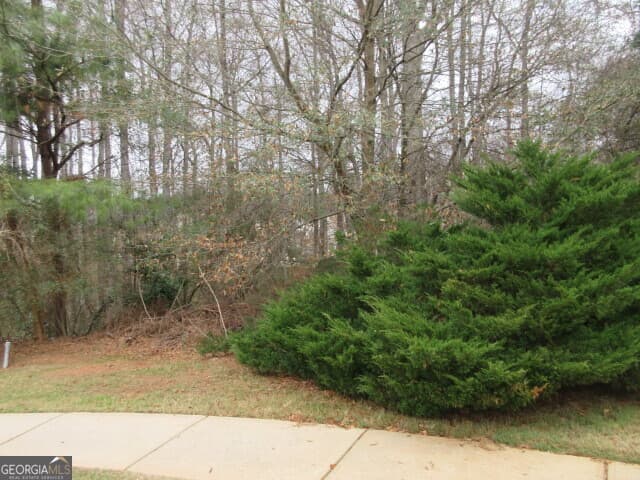 residential lot for sale at 710 Donner Court, Mcdonough, GA 30252 — photo 3