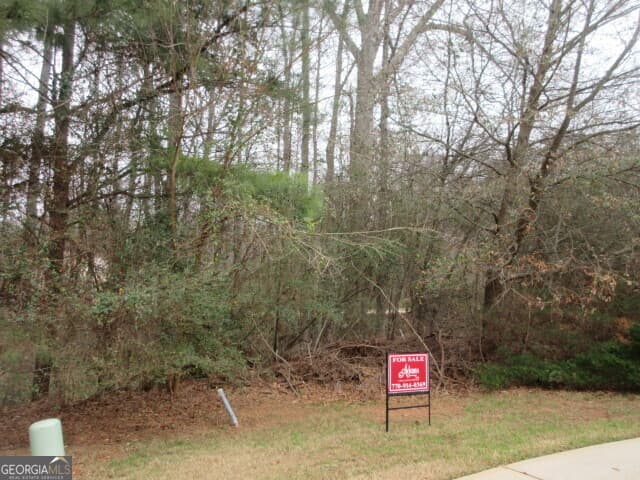 residential lot for sale at 710 Donner Court, Mcdonough, GA 30252 — photo 5