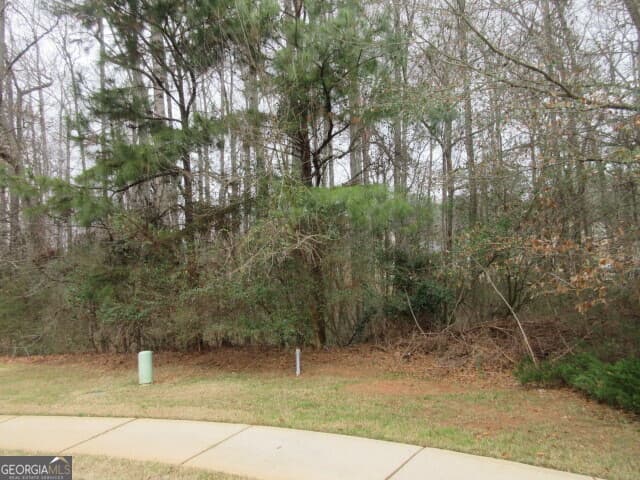 residential lot for sale at 710 Donner Court, Mcdonough, GA 30252 — photo 4