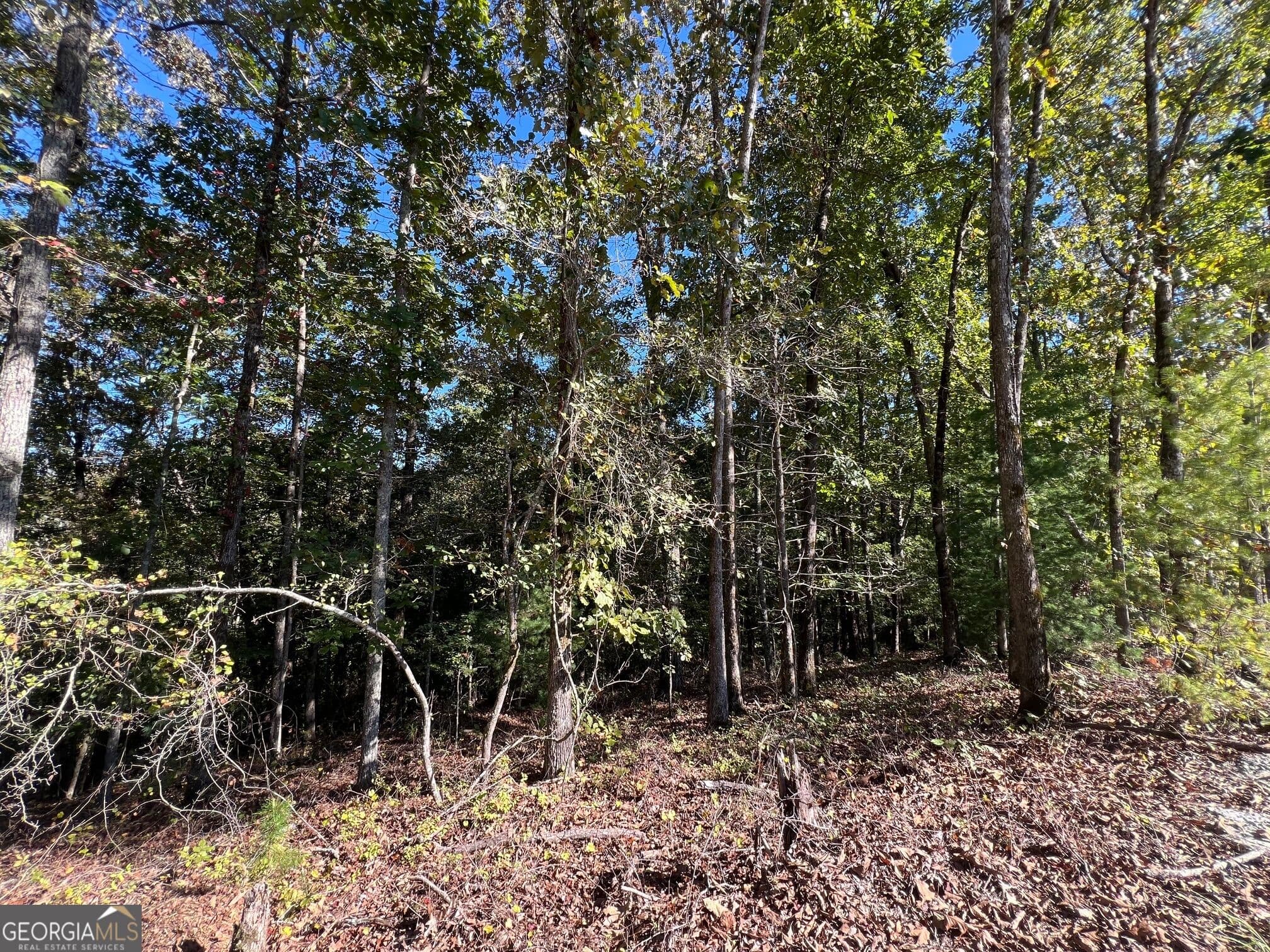 residential lot for sale at 0 Rebekah Ridge Road, Talking Rock, GA 30175 — photo 2