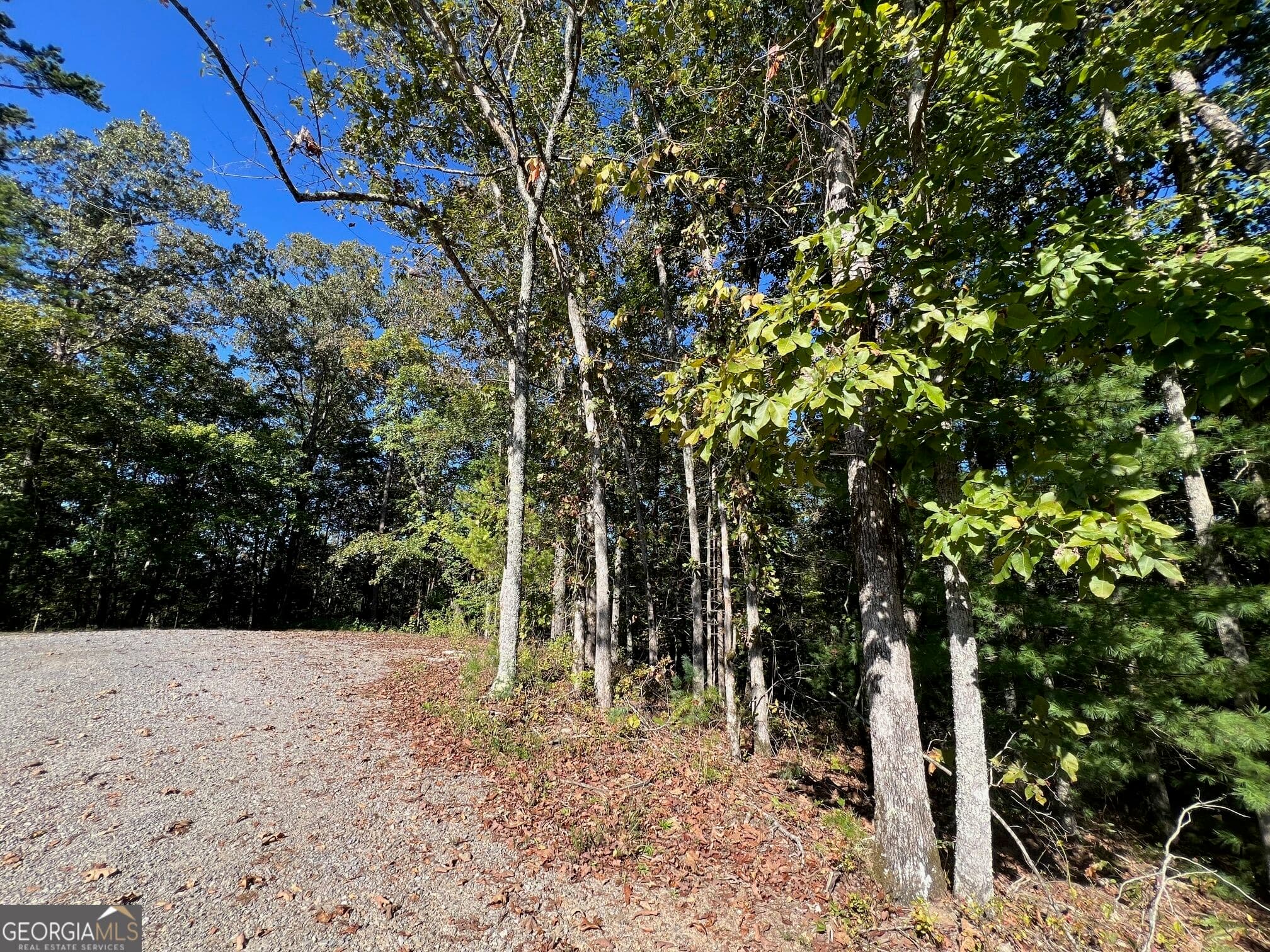 residential lot for sale at 0 Rebekah Ridge Road, Talking Rock, GA 30175 — photo 6