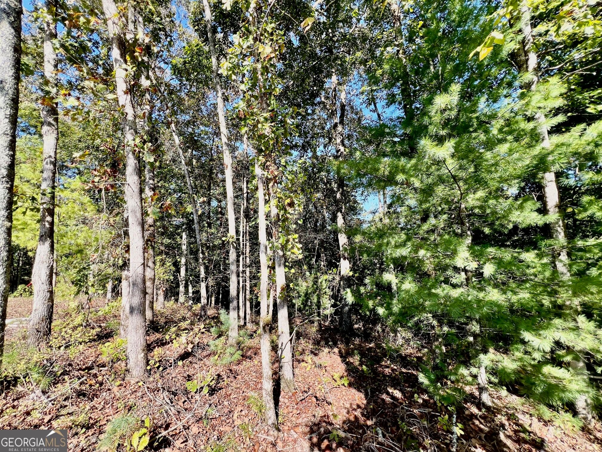 residential lot for sale at 0 Rebekah Ridge Road, Talking Rock, GA 30175 — photo 7