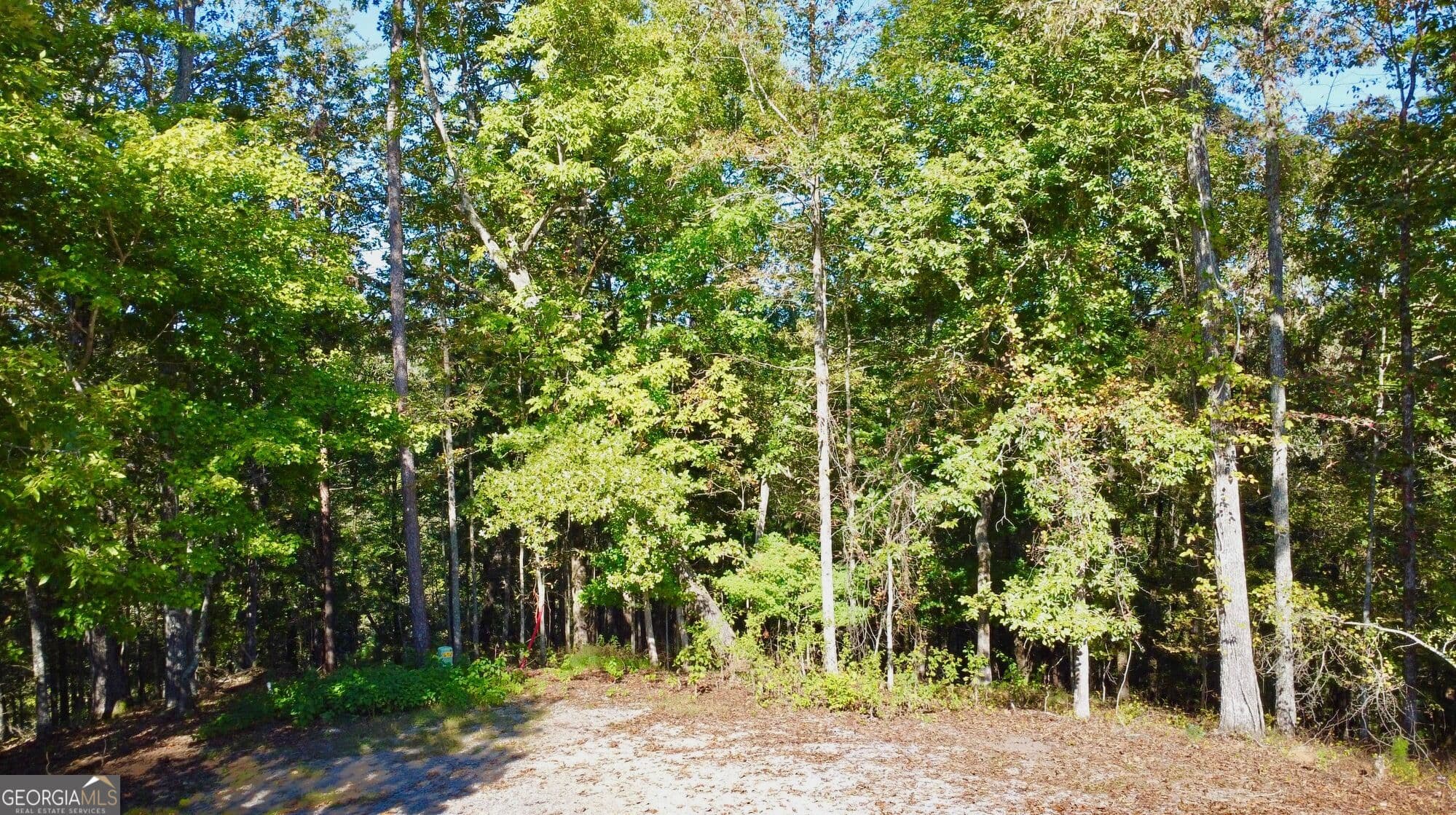 residential lot for sale at 0 Rebekah Ridge Road, Talking Rock, GA 30175 — photo 3