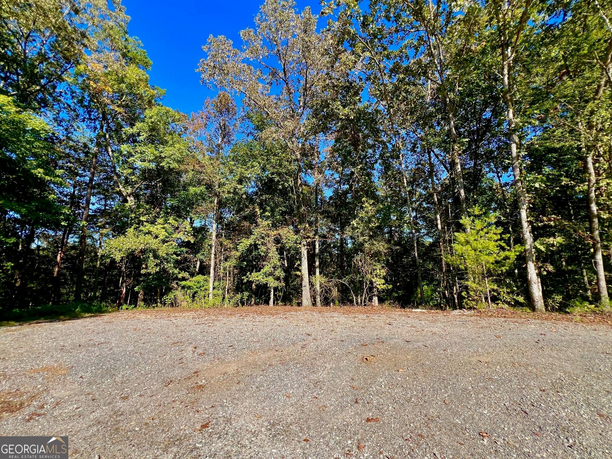 residential lot for sale at 0 Rebekah Ridge Road, Talking Rock, GA 30175 — photo 1 of 34