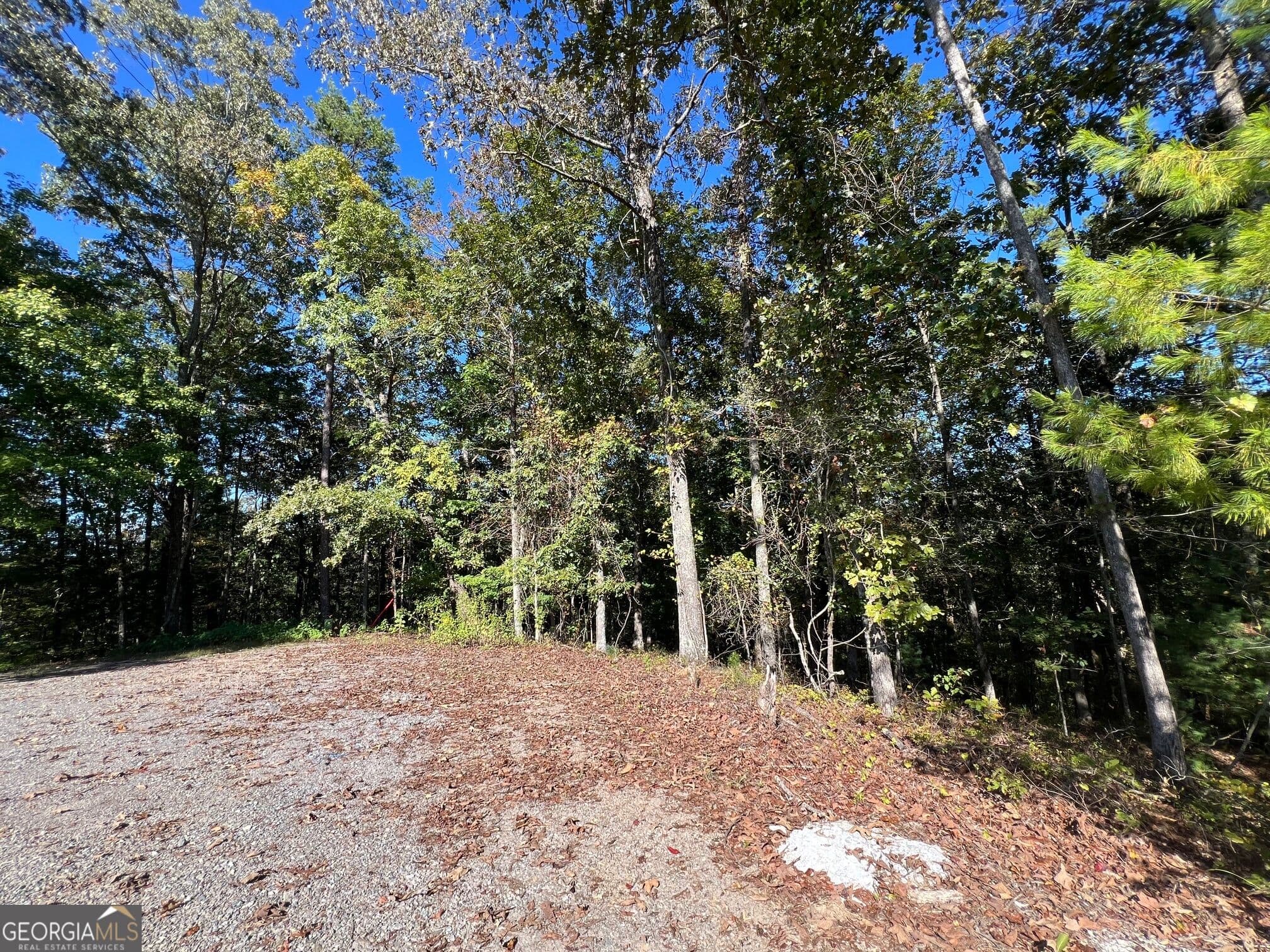 residential lot for sale at 0 Rebekah Ridge Road, Talking Rock, GA 30175 — photo 5