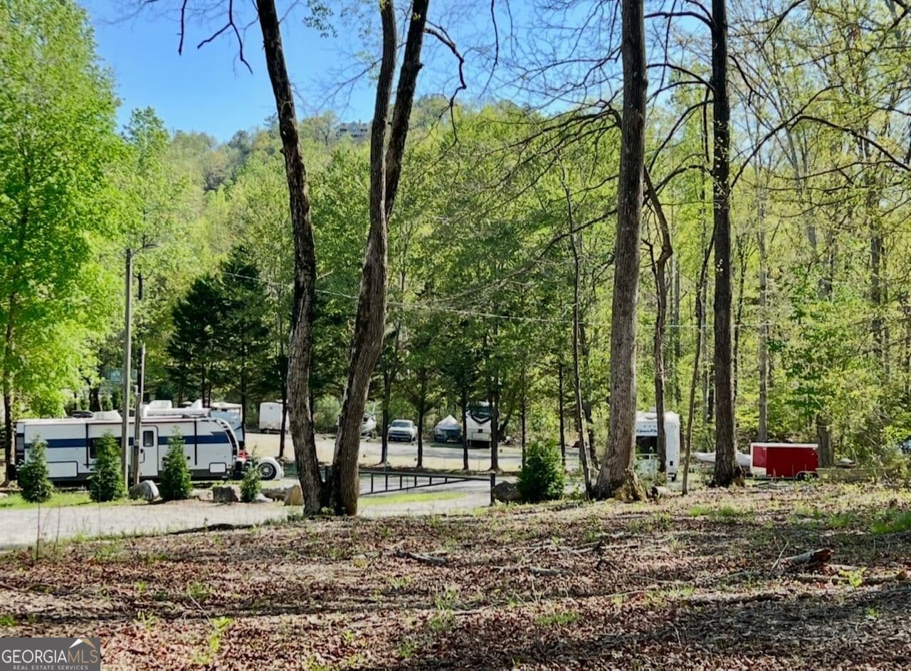 residential lot for sale at 0 Rebekah Ridge Road, Talking Rock, GA 30175 — photo 10